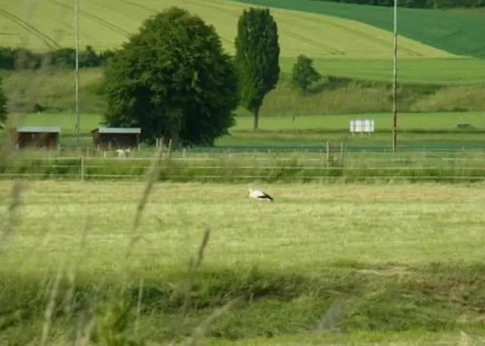 Reitz By Interhome * Фрицлар