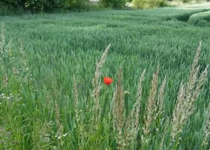 Reitz By Interhome Апартаменты