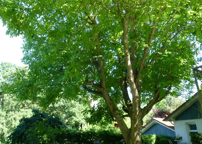 Апартаменты Reitz By Interhome *